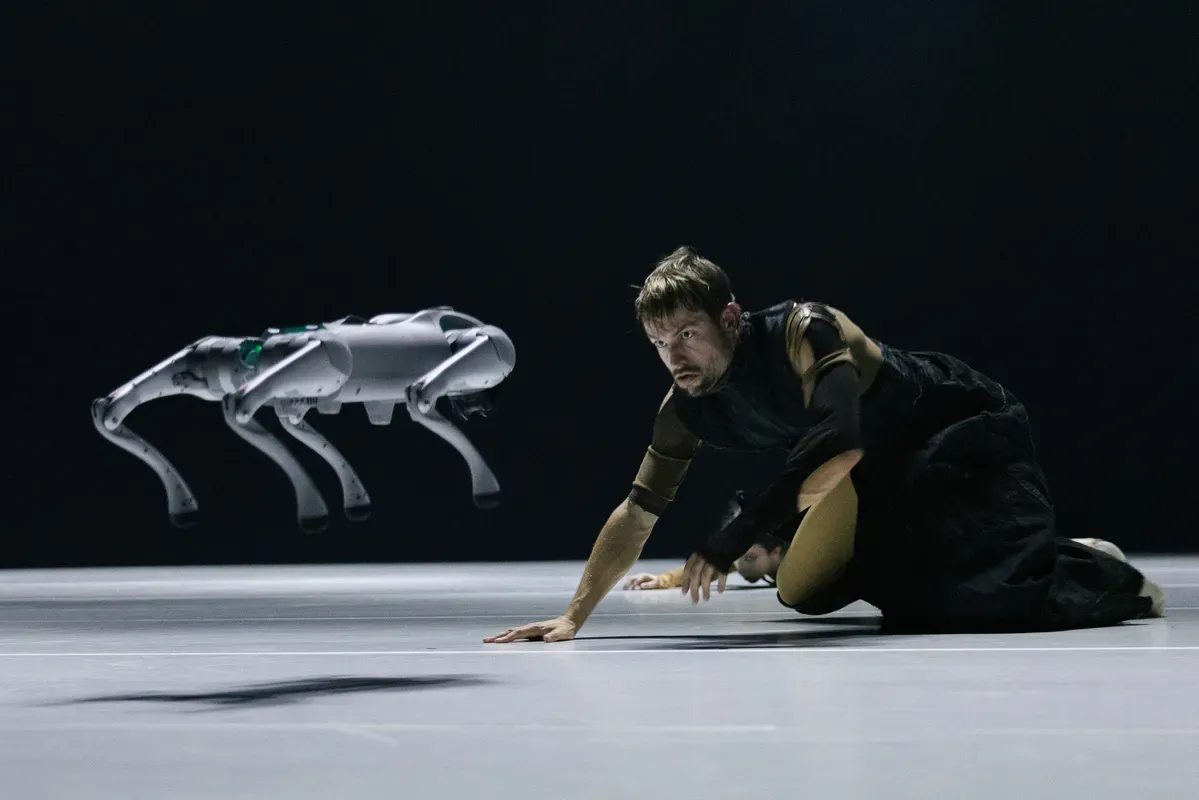 Afternoon of a nymph