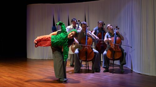 Cello Bende 6+