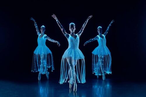 Doornroosje, de dans- en lichtshow