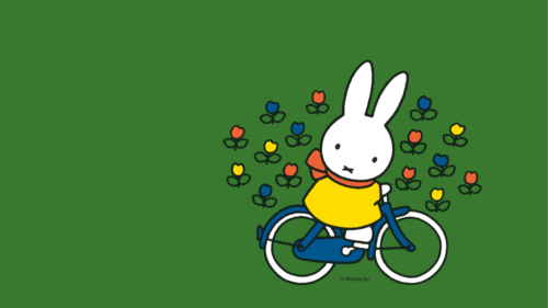 Nijntje op de fiets 2+