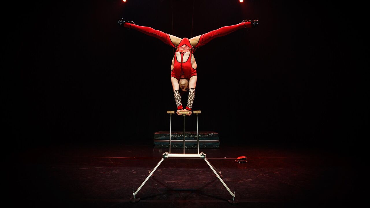 Welcome to the stage... House of Circus